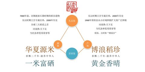 深圳大米品牌全案营销策划